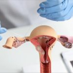 Recanalización de trompas: una alternativa real para volver a ser madre